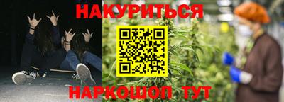 индика Гай