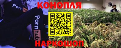 ECSTASY Апшеронск