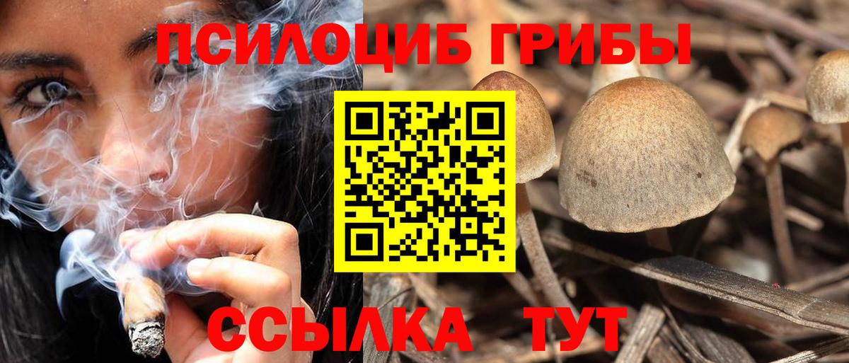 Галлюциногенные грибы Cubensis  Вход с VPN  Выкса 